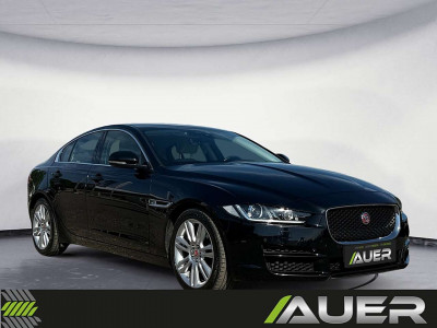 Jaguar XE Gebrauchtwagen