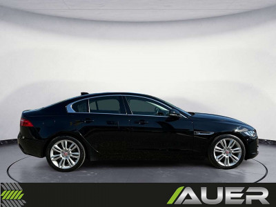 Jaguar XE Gebrauchtwagen