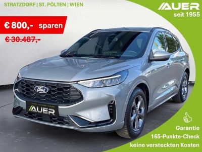Ford Kuga Gebrauchtwagen Ford Kuga Gebrauchtwagen