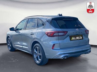 Ford Kuga Gebrauchtwagen Ford Kuga Gebrauchtwagen