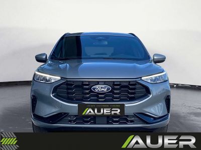 Ford Kuga Gebrauchtwagen Ford Kuga Gebrauchtwagen