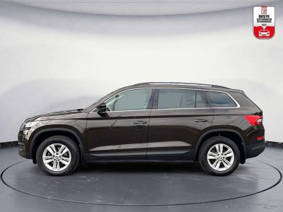 Skoda Kodiaq Gebrauchtwagen