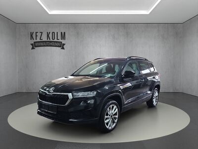 Skoda Karoq Gebrauchtwagen