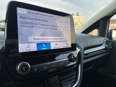 Ford Fiesta Gebrauchtwagen