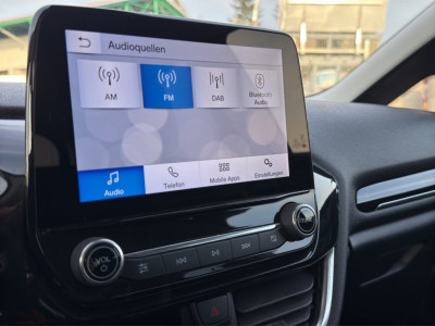 Ford Fiesta Gebrauchtwagen