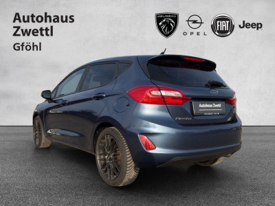 Ford Fiesta Gebrauchtwagen