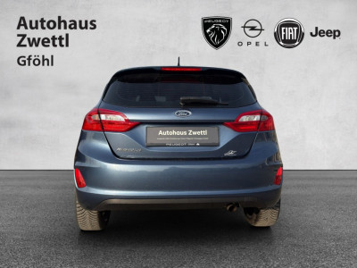 Ford Fiesta Gebrauchtwagen