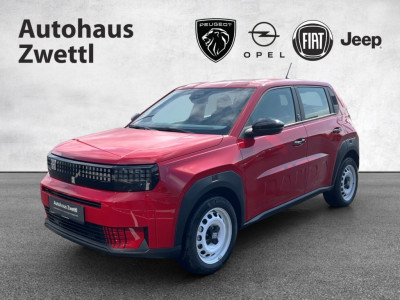 Fiat Grande Panda Gebrauchtwagen