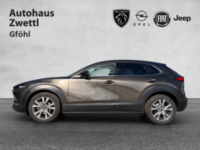 Mazda CX-30 Gebrauchtwagen Mazda CX-30 Gebrauchtwagen