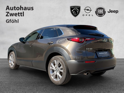 Mazda CX-30 Gebrauchtwagen Mazda CX-30 Gebrauchtwagen