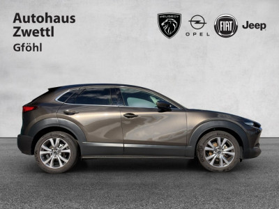 Mazda CX-30 Gebrauchtwagen Mazda CX-30 Gebrauchtwagen