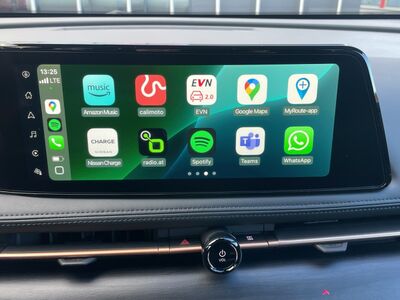 Nissan Ariya Tageszulassung