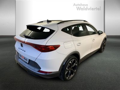 Cupra Formentor Gebrauchtwagen