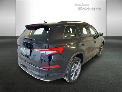 Skoda Kodiaq Gebrauchtwagen