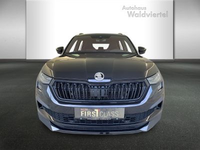 Skoda Kodiaq Gebrauchtwagen