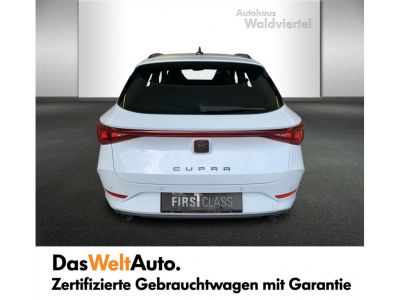 Cupra Leon Gebrauchtwagen