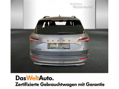 Skoda Karoq Gebrauchtwagen