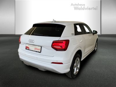 Audi Q2 Gebrauchtwagen