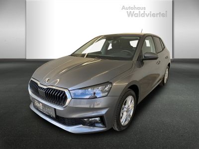 Skoda Fabia Gebrauchtwagen