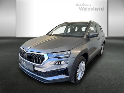 Skoda Karoq Gebrauchtwagen