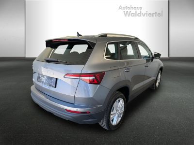 Skoda Karoq Gebrauchtwagen