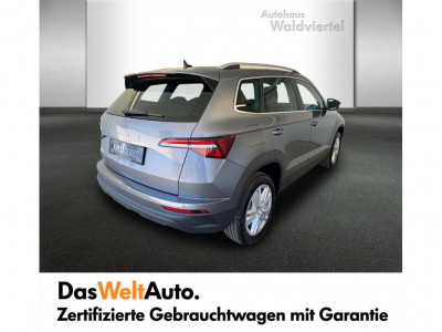 Skoda Karoq Gebrauchtwagen