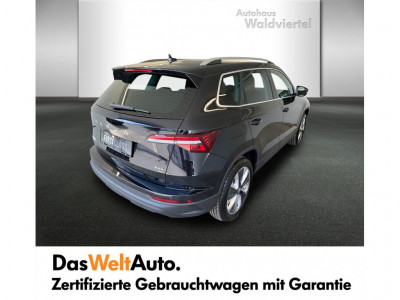 Skoda Karoq Gebrauchtwagen