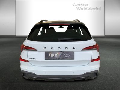 Skoda Kamiq Gebrauchtwagen