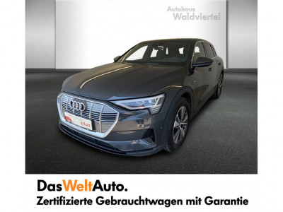 Audi e-tron Gebrauchtwagen