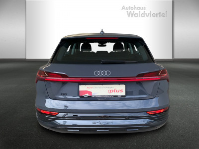 Audi Q8 Gebrauchtwagen