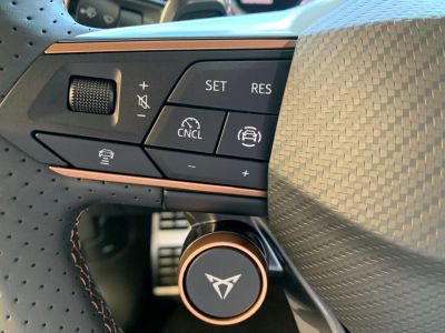 Cupra Terramar Gebrauchtwagen