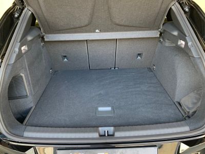 Cupra Terramar Gebrauchtwagen