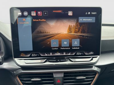 Cupra Formentor Gebrauchtwagen