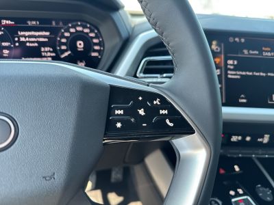 Audi Q4 e-tron Gebrauchtwagen