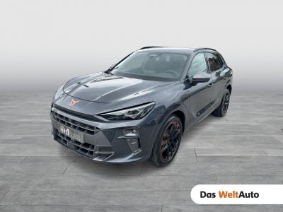 Cupra Terramar Gebrauchtwagen