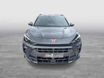 Cupra Terramar Gebrauchtwagen