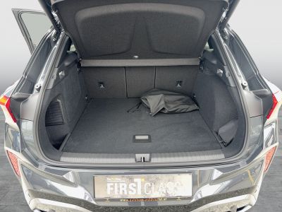 Cupra Terramar Gebrauchtwagen