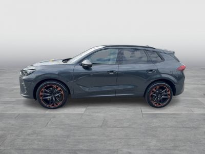 Cupra Terramar Gebrauchtwagen
