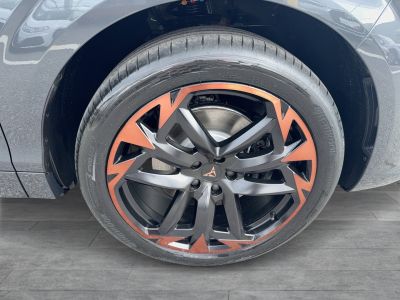 Cupra Terramar Gebrauchtwagen