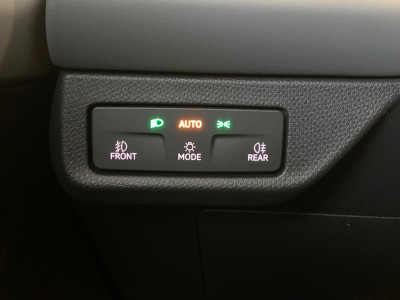 Cupra Terramar Gebrauchtwagen