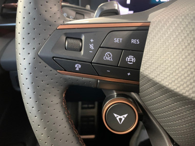 Cupra Terramar Gebrauchtwagen