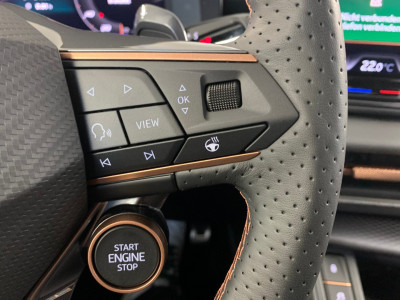 Cupra Terramar Gebrauchtwagen