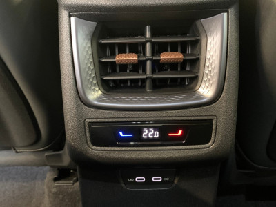 Cupra Terramar Gebrauchtwagen