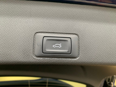 Cupra Terramar Gebrauchtwagen