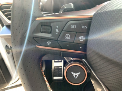 Cupra Formentor Gebrauchtwagen