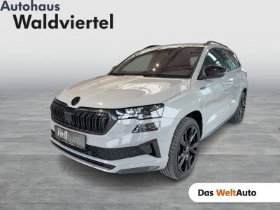 Skoda Karoq Gebrauchtwagen