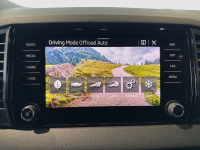 Skoda Karoq Gebrauchtwagen