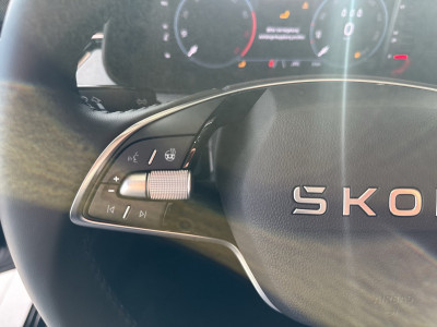 Skoda Scala Gebrauchtwagen