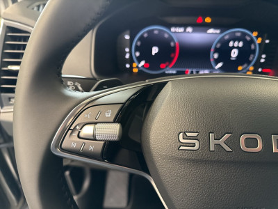 Skoda Karoq Gebrauchtwagen