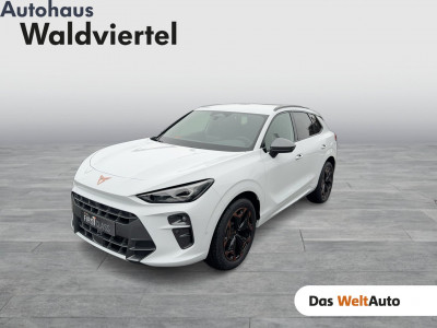 Cupra Terramar Gebrauchtwagen